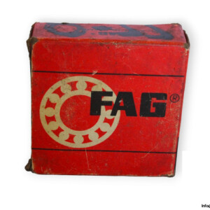 fag-NUP2205-cylindrical-roller-bearing-(new)-(carton)