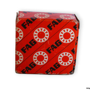fag-NUP2204E.TVP2-cylindrical-roller-bearing-(new)-(carton)
