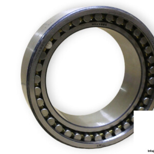 Dkfddr NNU 4920 P51 NA Double ROW Cylindrical Roller Bearing