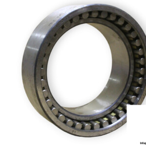 Dkfddr NNU 4920 P51 NA Double ROW Cylindrical Roller Bearing