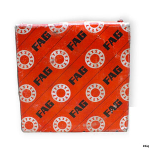 fag-21311E.TVPB-spherical-roller-bearing-(new)-(carton)