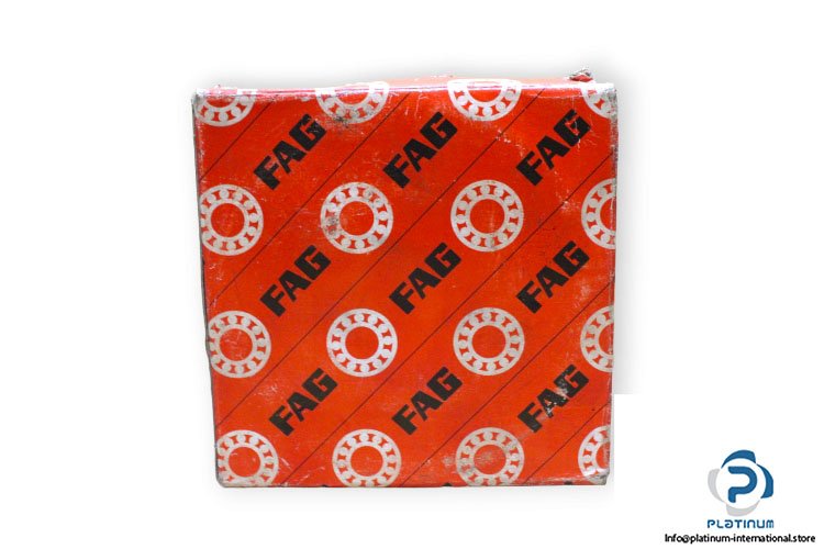 fag-21311E.TVPB-spherical-roller-bearing-(new)-(carton)