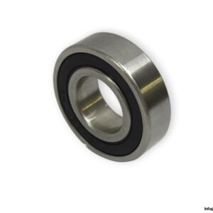 S6004-2RS-deep-groove-ball-bearing-(new)
