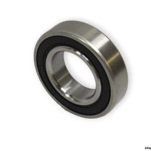 S6005-2RS-deep-groove-ball-bearing-(new)