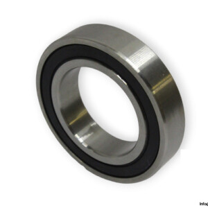 S6009-2RS-deep-groove-ball-bearing-(new)