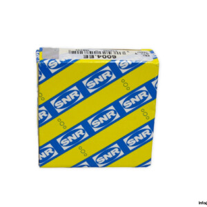 snr-6004.EE-deep-groove-ball-bearing