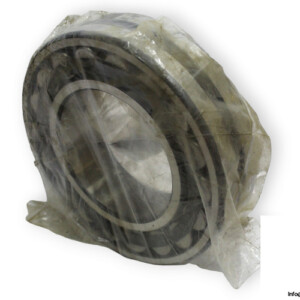 FAG 22219E1K Spherical Roller Bearing