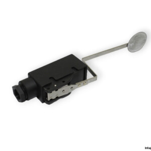 pizzato-MK-V11D35-microswitch-(new)