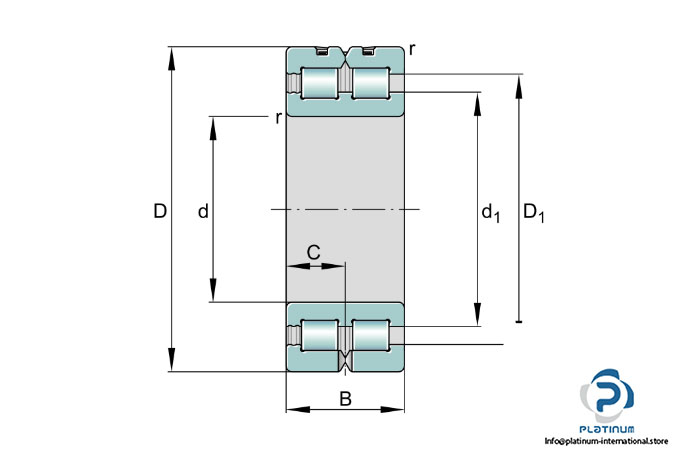 ina-sl-01-4848-double-row-cylindrical-roller-bearing-2