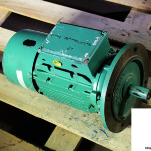 Leroy Somer LS100L DP T Brake Motor