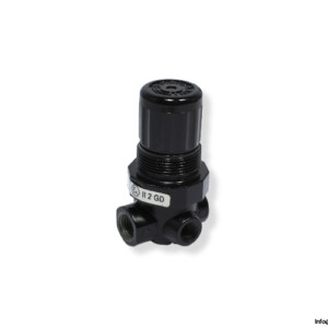 norgren-R07-205-RNMG-minatuer-ported-pressure-regulator