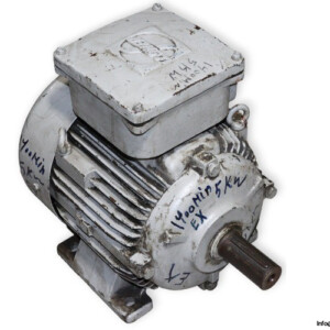 Loher EMGV-132SB-0ZA 3 Phase Electric Motor