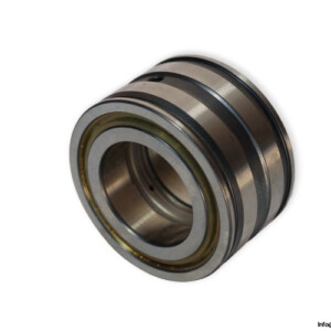 INA SL045007 PP Cylindrical Roller Bearing