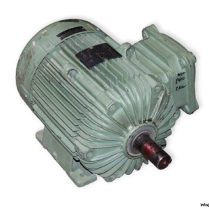 elettromeccanici-D1C-1131-3-phase-electric-motor-used