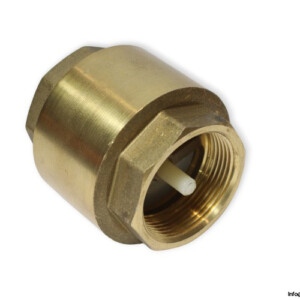 York 1-1/2 Check Valve