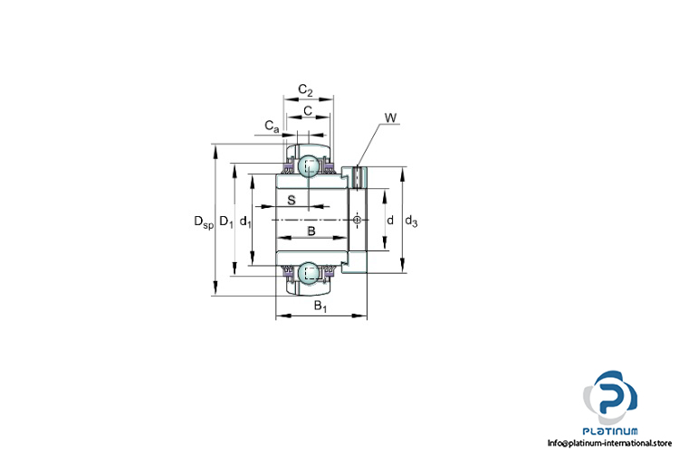 ina-GE55-KTT-B-insert-ball-bearing-(new)-(carton)-4