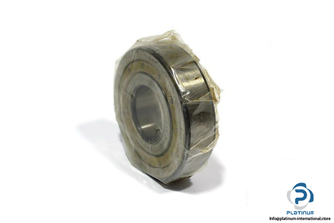 skf-614010-a-cylindrical-roller-bearing-2