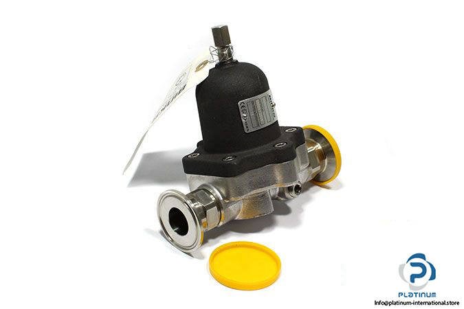 binks-107757-s-s-back-pressure-regulator-2
