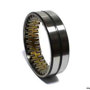 FAG NNU4930S.SP Double ROW Cylindrical Roller Bearing Without Inner Ring