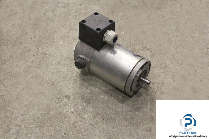 electric-motors-srl-PMM20240300M-dc-motor