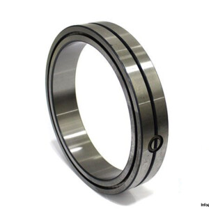 ina-SL01-4844-cylindrical-roller-bearing