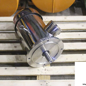 ang-drive-SS132S-4-stainless-steel-electric-motor