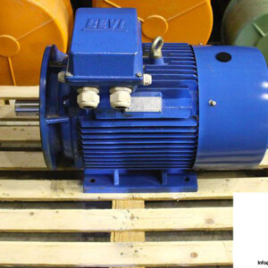 bevi-2D-200L-4-3-phase-electric-motor