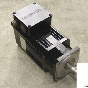 Magnetic BLQ 63 S 30 2000 Brushless Servomotor