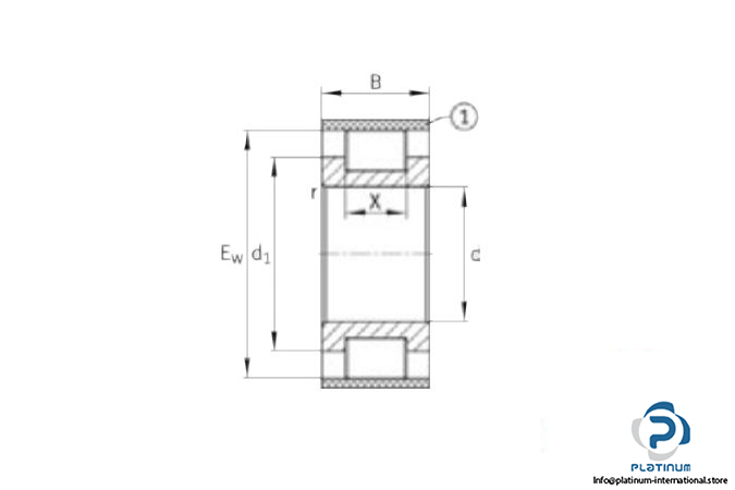 ina-rsl183008-a-xl-cylindrical-roller-bearing-3