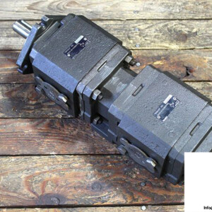 Rexroth R900932165 Double Internal Gear Pump