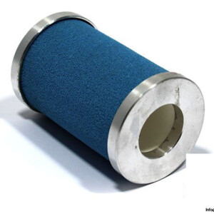 Riegler 430/2 Replacement Filter Element