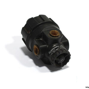 norgren-R24-200-RNLG-pressure-regulator-2