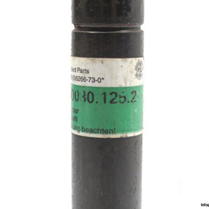 19621-fibro-2482-74-00030-125-2-gas-spring-3