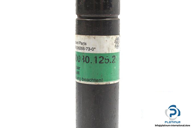19621-fibro-2482-74-00030-125-2-gas-spring-3