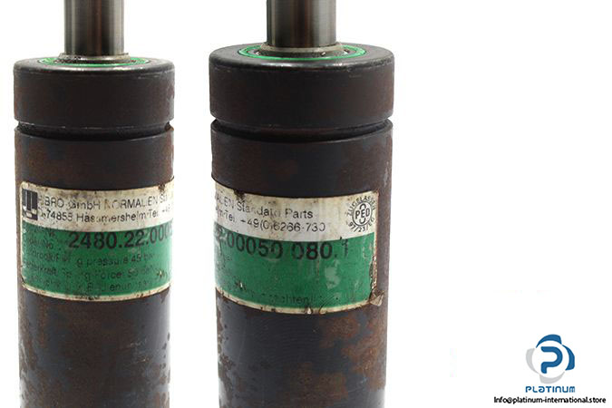 18820-fibro-2480-22-00050-080-1-gas-spring-2