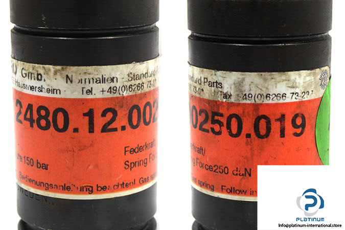 21522-fibro-2480-12-00250-019-gas-spring-2