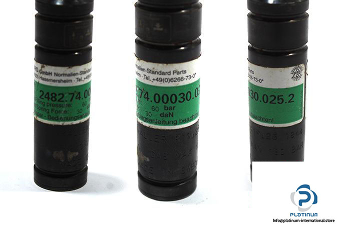 22223-fibro-2482-74-00030-025-2-gas-spring-2