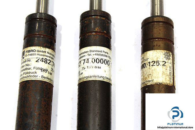25024-fibro-2482-74-00000-125-2-gas-spring-2