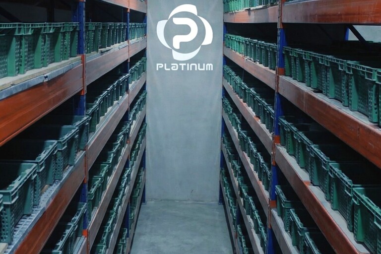 Platinum International facility 3