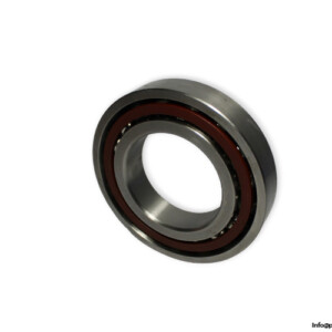Snfa E200/110 Angular Contact Ball Bearing
