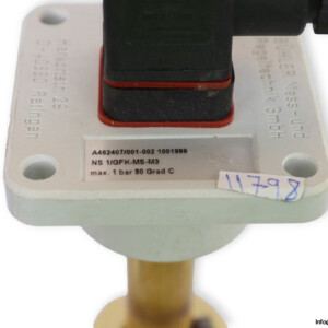 buhler-NS-1_GFK-MS-M3-level-switch-(New)