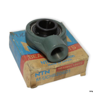 ntn-M-UCHB206D1-hanger-units-cast-housing-(new)-(carton)