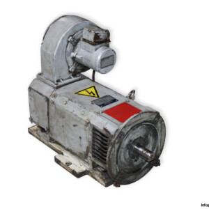Baumuller Gnaff 100 MV DC Motor