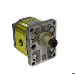 Vivoil X2P4502EBBA Unidirectional Gear Pump