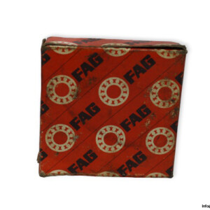 fag-6006-deep-groove-ball-bearing-(new)-(carton)