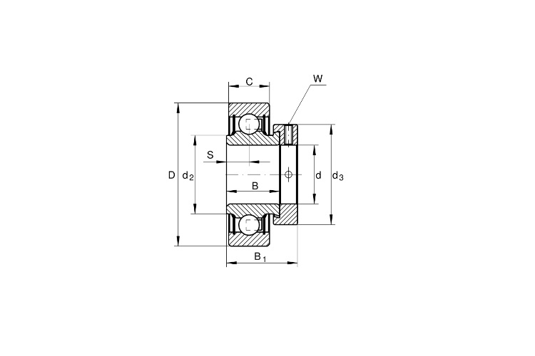 ina-RAE45-XL-NPP-FA106-insert-ball-bearing-(new)-3