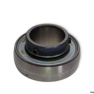 INA GAY30-NPP-B Insert Ball Bearing