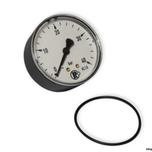 Riegler 101757 Pressure Gauge
