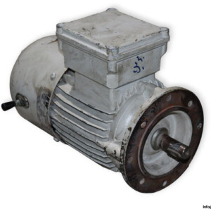 HEW RF80L/4-B8H Brake Motor