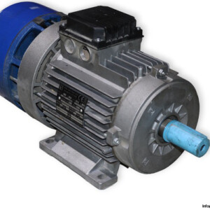 MGM BA 100LB4 Brake Motor
